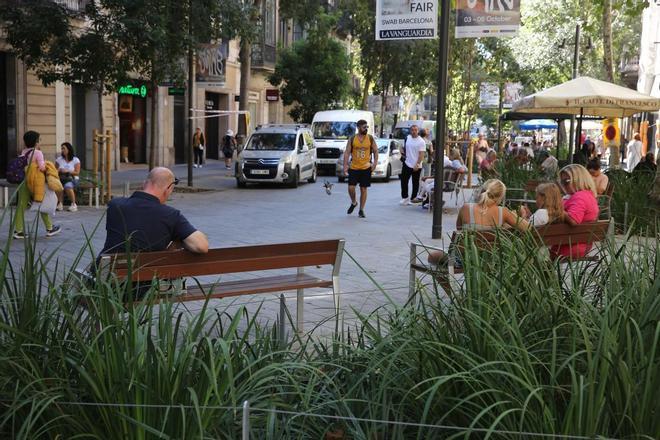 Barselona'da Gözlü Peynir Cephesi Pastaneyi Zora Soktu: Kent Estetiği Kuralları Devrede