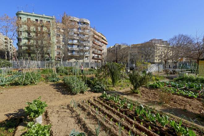 Barselona'da Kent Bahçeleri Ağı Genişliyor: Yaşlılara Yeni Topraklar Teslim Edildi