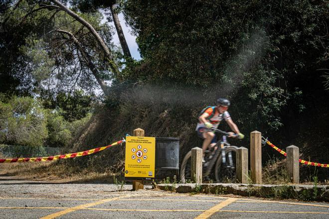 Barselona'nın Yeşil Akciğeri Collserola, Domuz Vebası Nedeniyle Yıl Sonuna Dek Kapalı