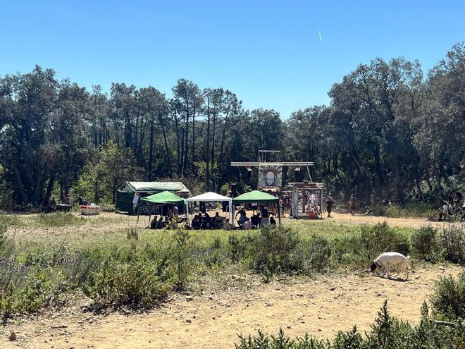 Katalonya'da Yasa Dışı Rave Partisi: Les Gavarres'te 100 Kişi ve 80 Araç Toplandı