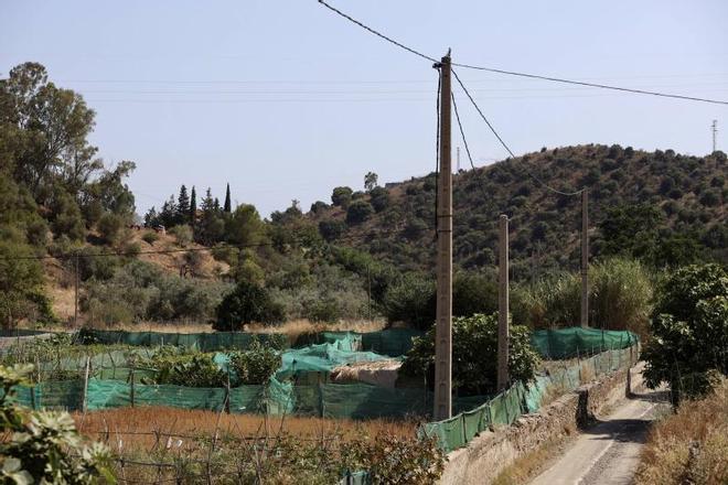 Málaga'daki Kuyu Cinayeti: Cristina'nın Cesedi Dövme Sayesinde Teşhis Edildi