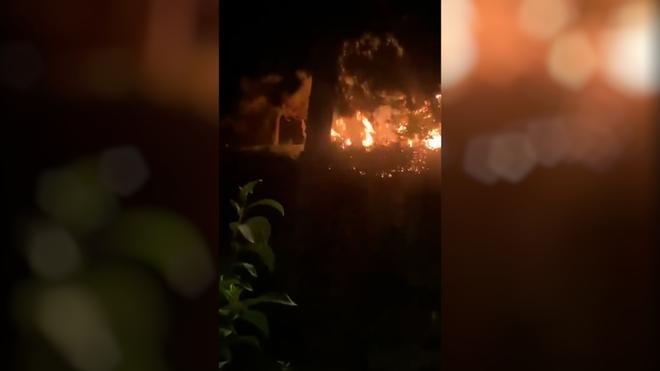 Barselona'nın Yeşil Kalbi Clot Parkı'nda Yangın Korkusu: Bölge Halkı Teyakkuzda