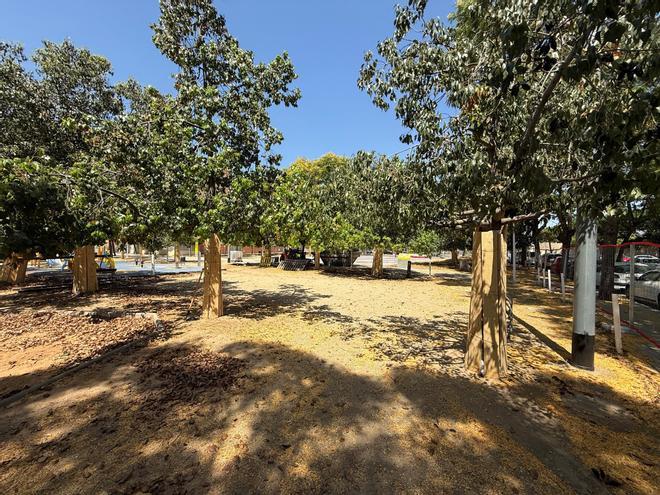 Barselona Metropoliten Alanı'ndan Yeşil Devrim: Parklara 2,6 Milyon Avroluk Yatırım
