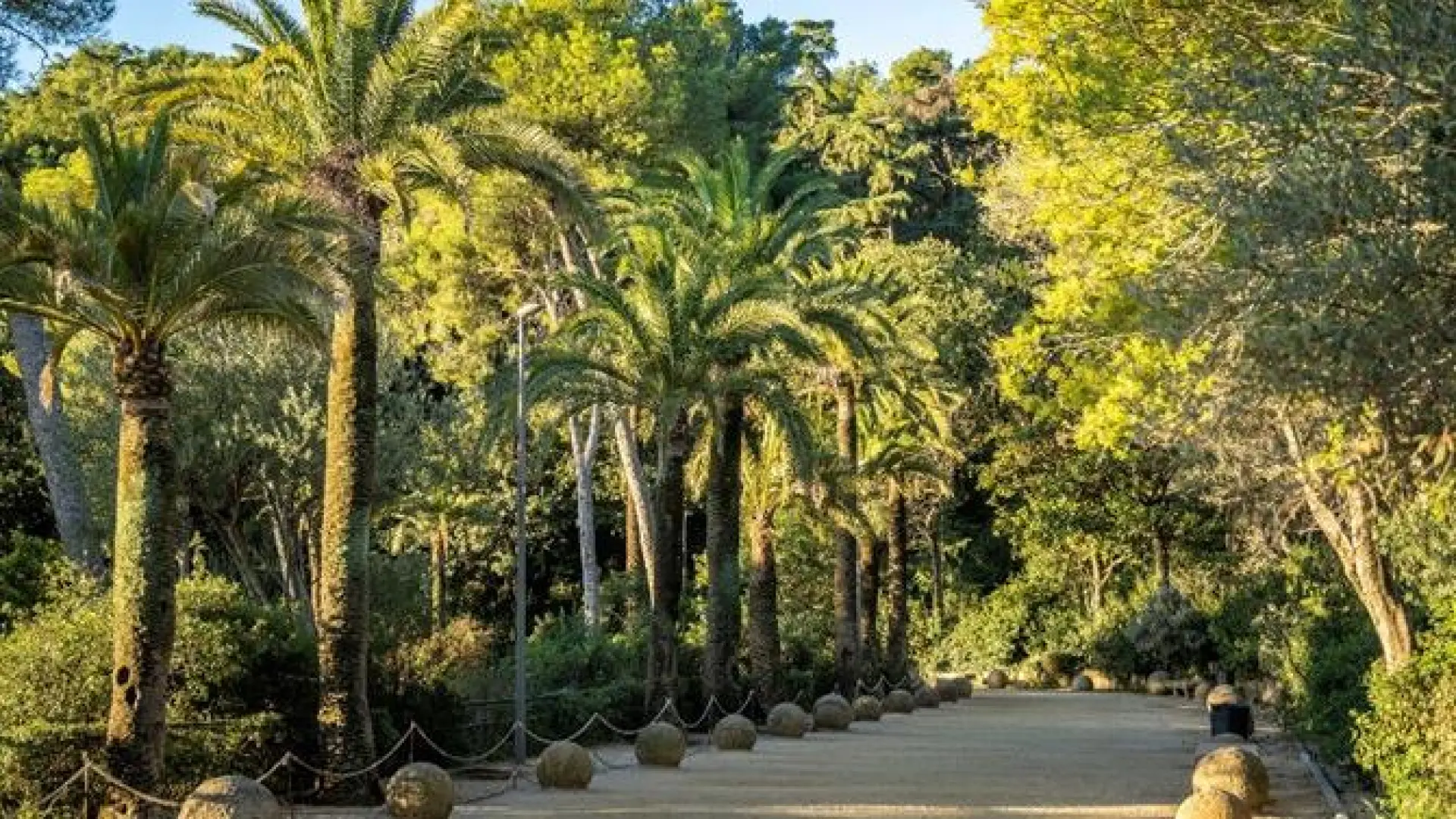 Park Güell'de Sonbaharda Başlayacak Kapsamlı Aydınlatma Yenilemesi: Güvenlik ve