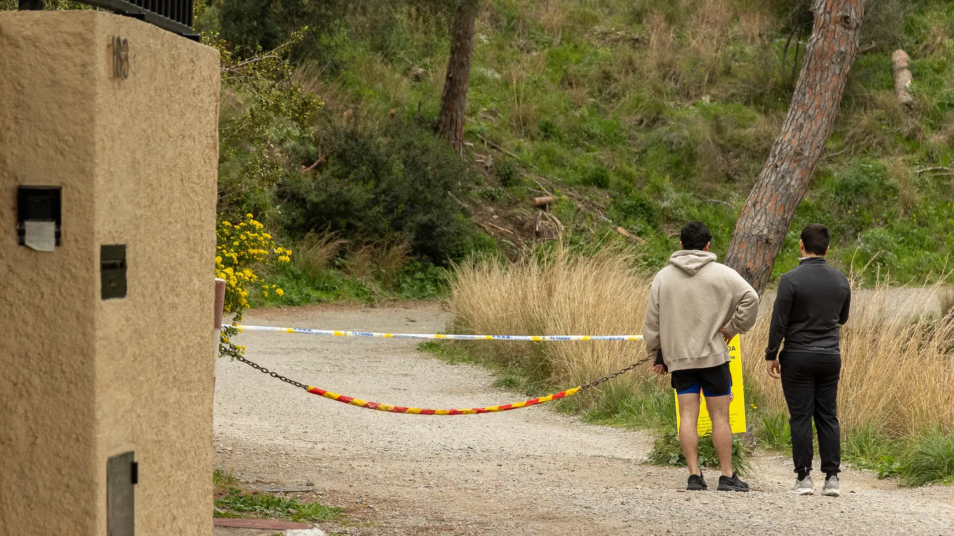 Collserola Parkı'nda Domuz Vebası Alarmı: Kısıtlamalar 3 Ay Daha Sürecek