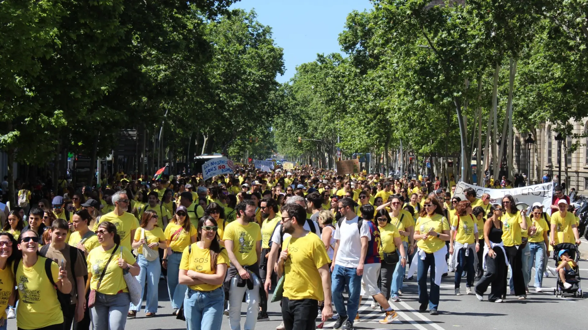 Katalonya Hükümetinden Eğitimde "Normalleşme" Çağrısı: Grev ve Dil Tartışması