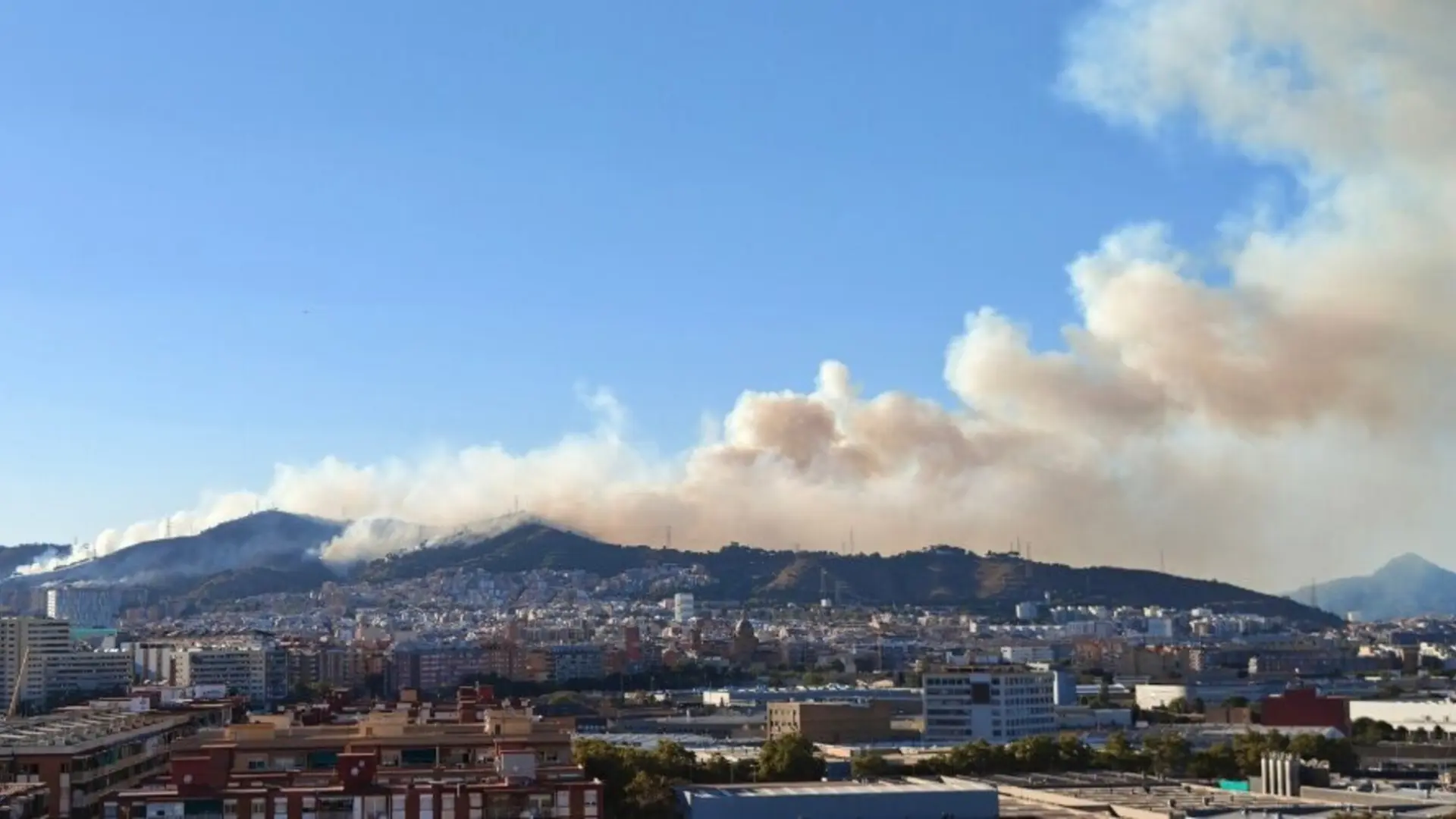 Barselona'daki Collserola Yangını: Kundaklama Şüphelisi Gözaltında