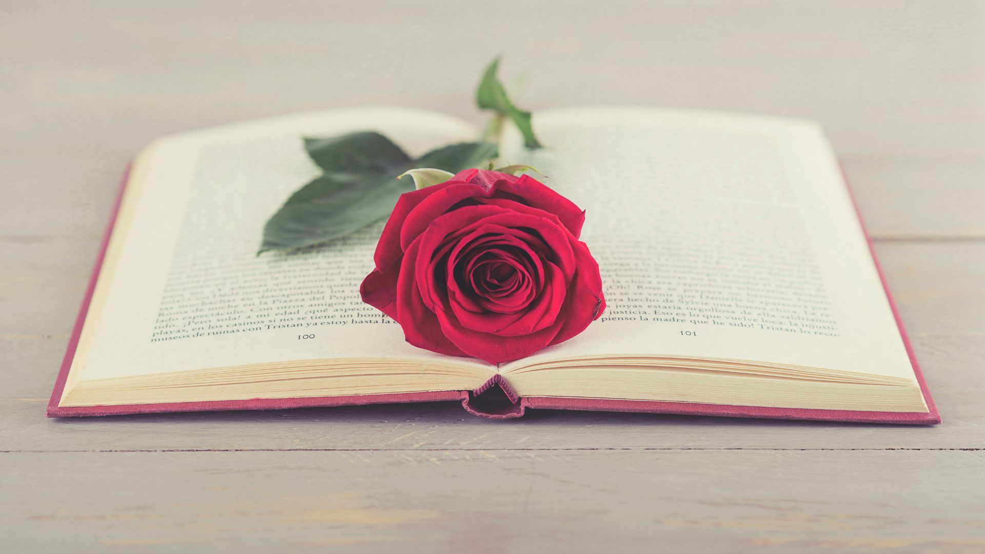Barselona'nın Efsanevi Kitap ve Gül Bayramı: Sant Jordi ve Edebiyatın Dansı