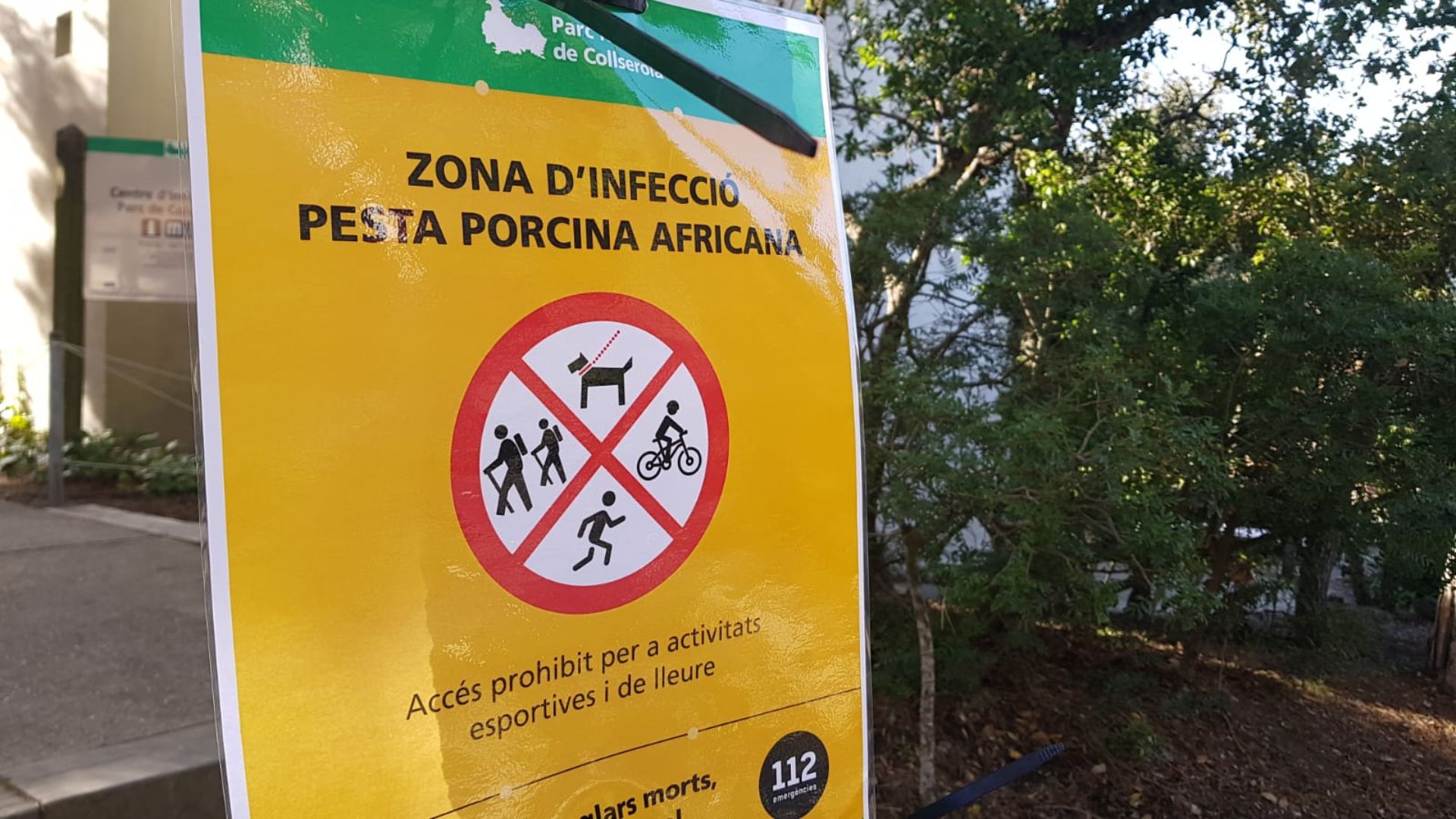 Barselona'da İlk Afrika Domuz Vebası Vakası: Collserola Parkı Kapatıldı