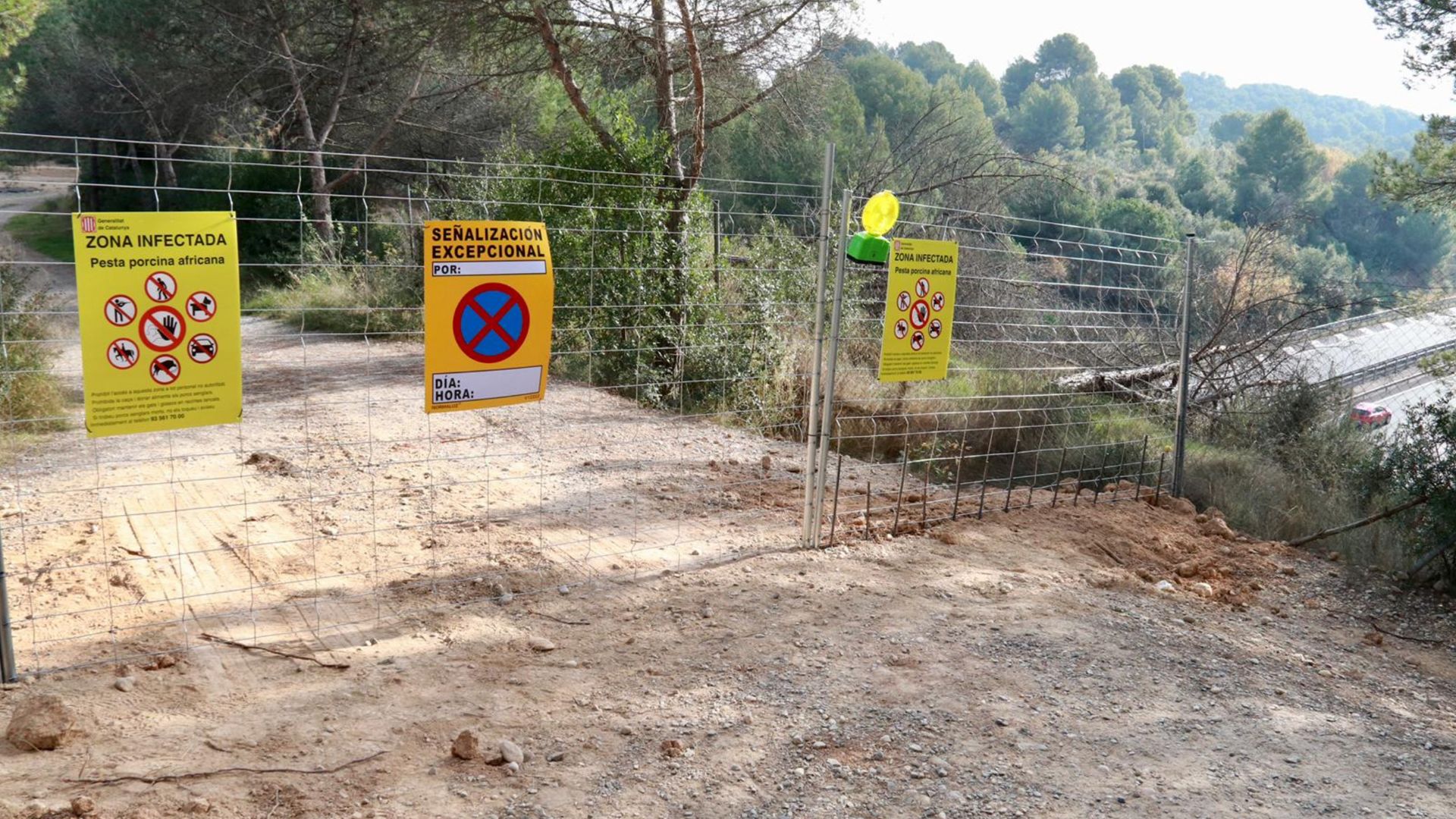 Katalonya'dan Afrika Domuz Vebası Mağdurlarına Destek: Collserola İşletmelerine Yardım
