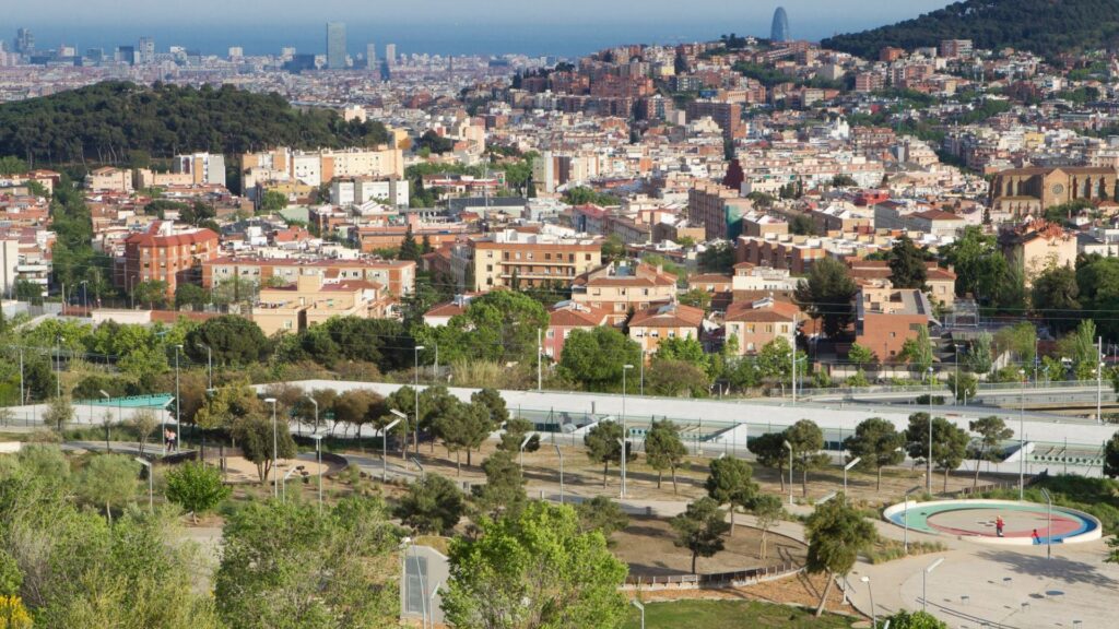 Barselona'da Afrika Domuz Vebası Alarmı: Collserola Parkı ve Otuz Yeşil Alan Kapatıldı