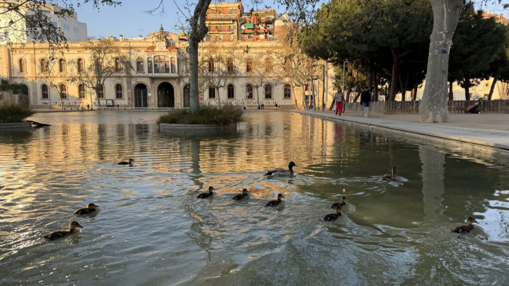 Barselona Gölü'ndeki Sarı Lekelerin Sırrı Çözüldü: Doğal Bir Bahar Mucizesi