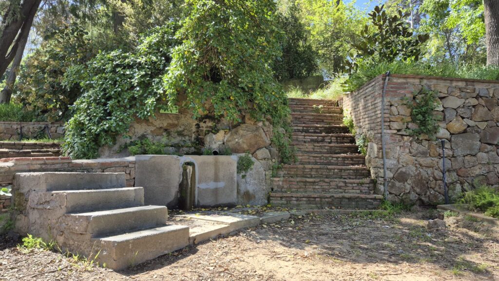 Barselona'da Kuraklık Sonrası Hayat Bulan Akiferler: Tarihi Tres Pins Kaynağı Yeniden