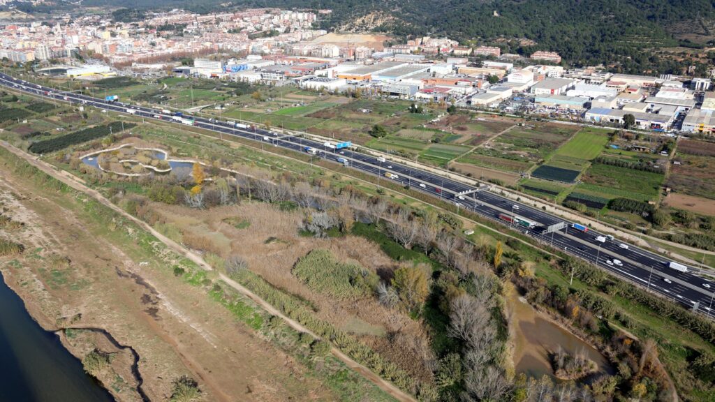 Barselona'da Kelebek Rekoru: 2025'te Tür ve Sayı Çeşitliliği Zirve Yaptı