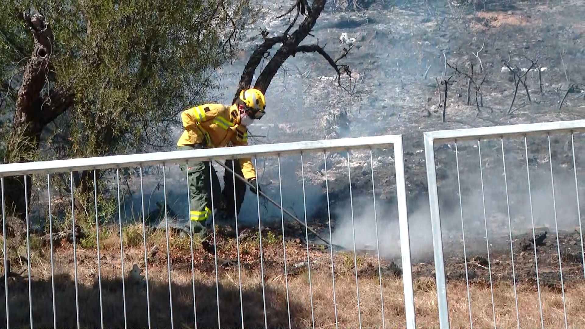 Barselona'nın Yeşil Akciğerleri Yanıyor: Collserola'da Büyük Yangın Tehdidi