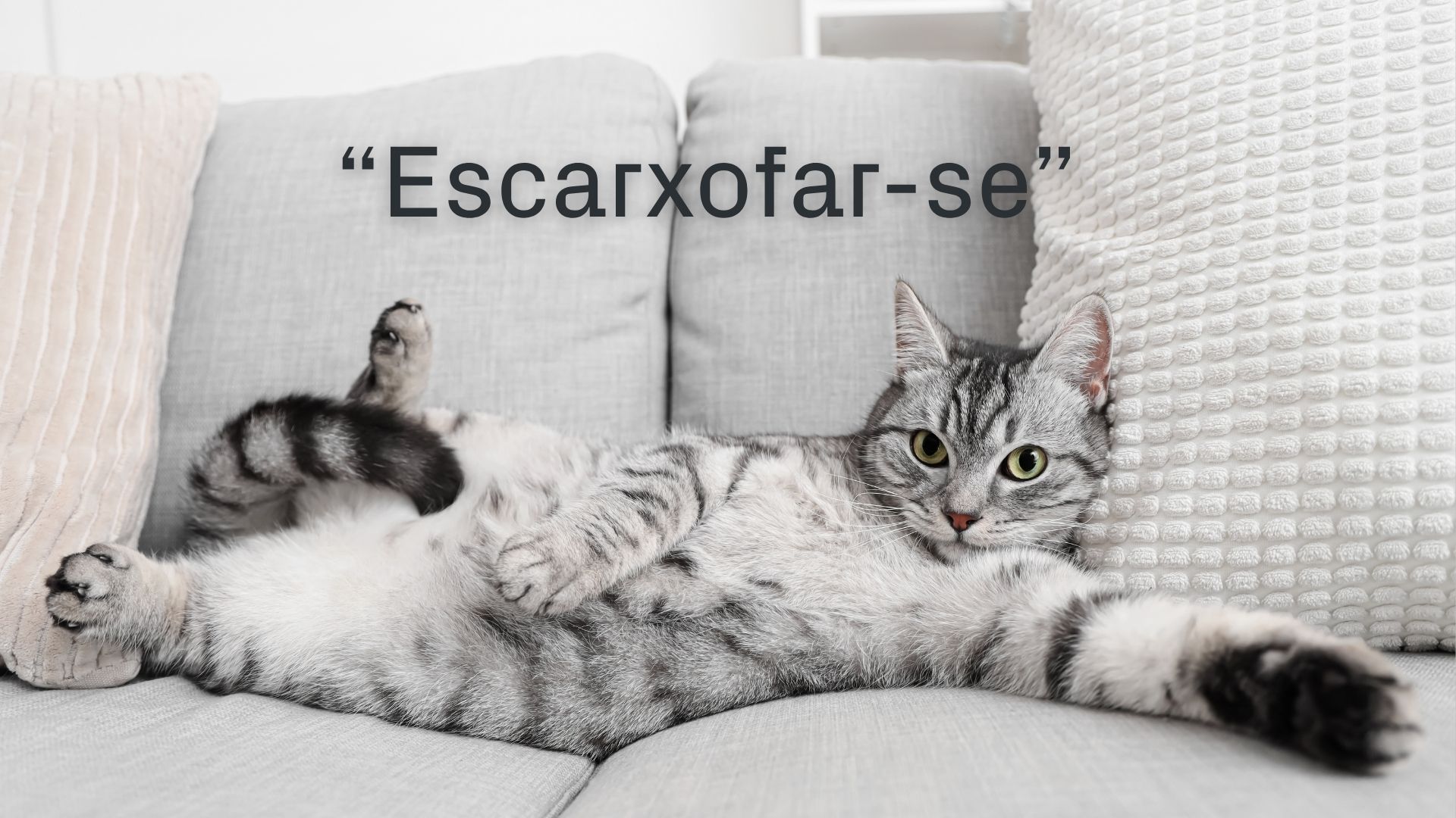 Katalanca 'Escarxofar-se' Fiilinin Gizemi: Enginar Kalbinden Konfora Uzanan Yolculuk