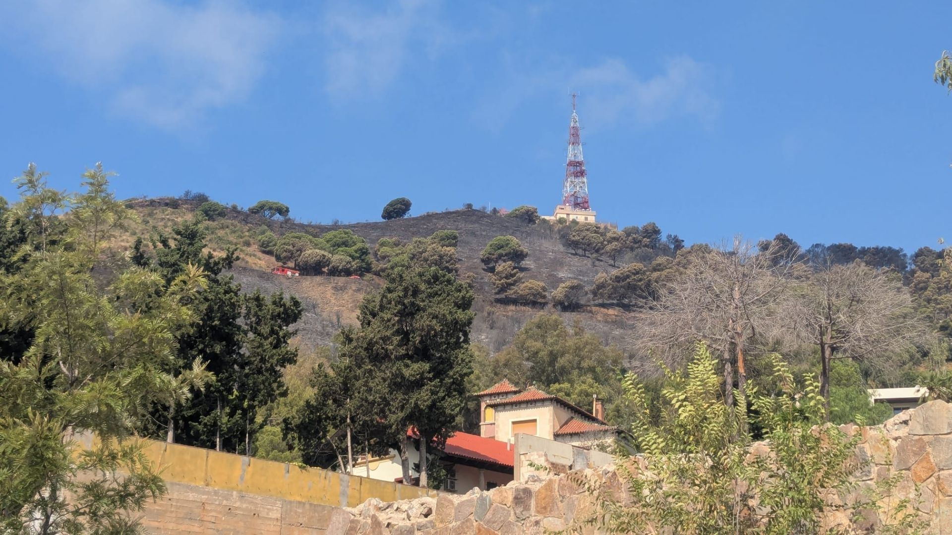 Collserola Yangını Tamamen Söndürüldü: Barselona'nın Akciğerleri Rahat Bir Nefes Aldı