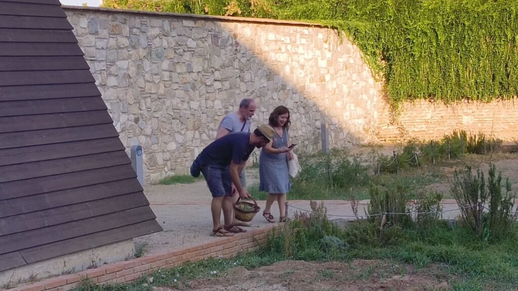 Pedralbes Manastırı'nda Ortaçağ Şifalı Bitki ve Merhem Atölyeleri: Geçmişten Gelen Bilgi