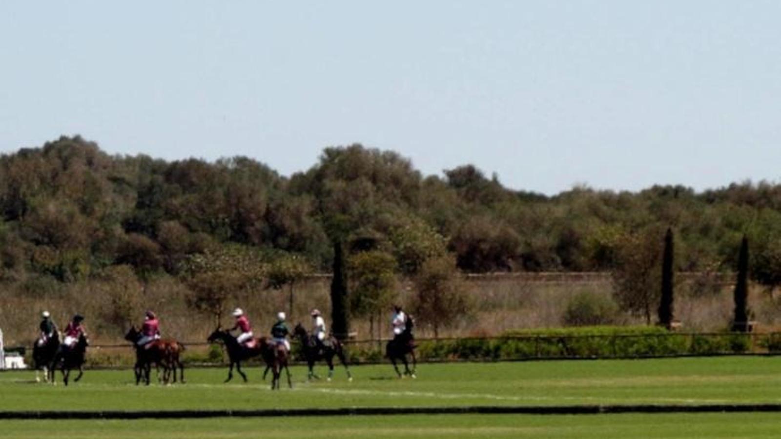 Mallorca'nın Trenc Doğal Parkı'nda Koruma Savaşı: Polo Sahası Sınırları Daraltmak İstiyor