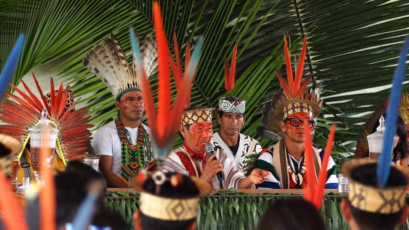 Girona'da Ayahuasca Tartışması: Geleneksel Şifa mı, Tehlikeli Madde mi?