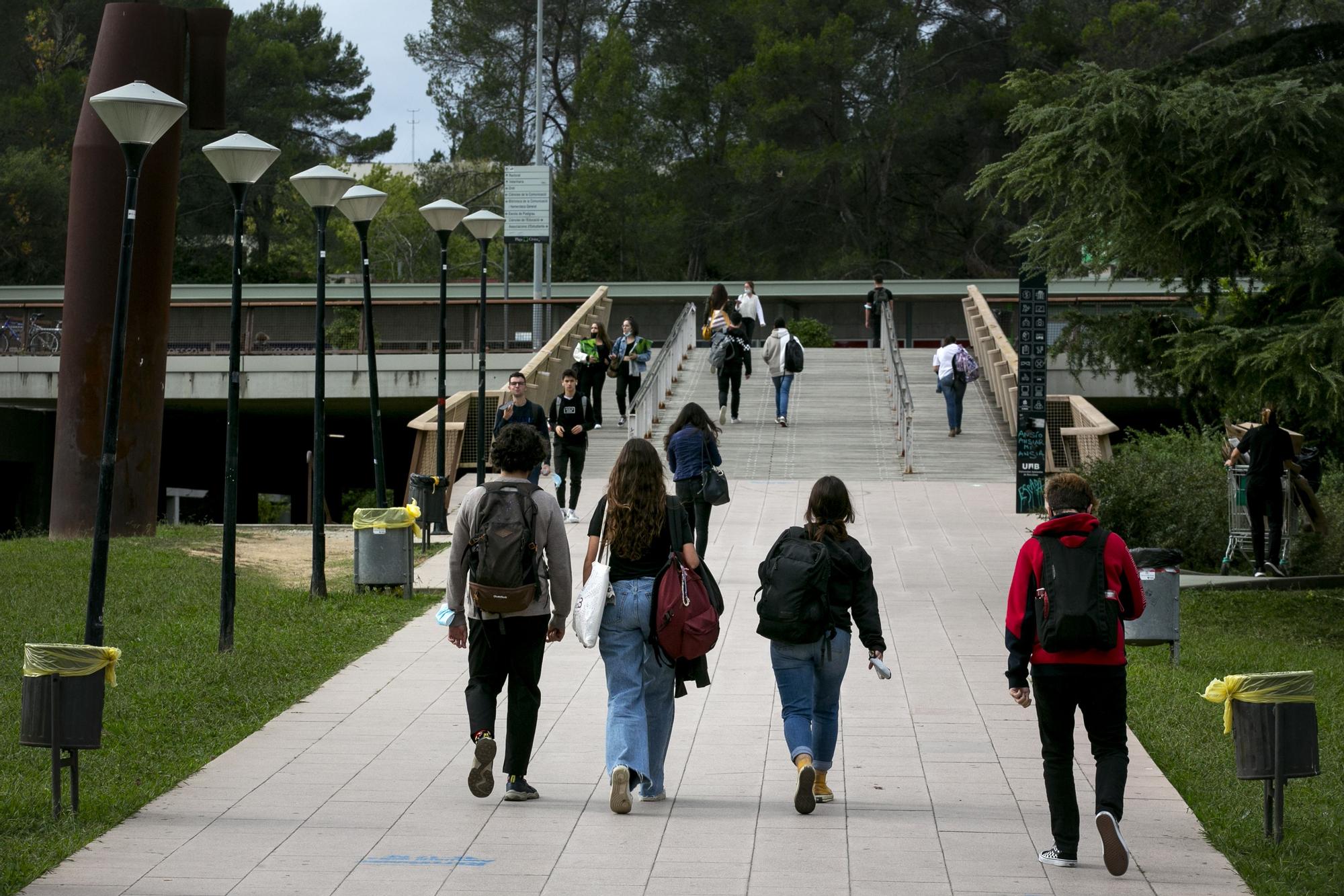 AB'de Resmi Dil Olmayan Katalanca, Yapay Zeka İçin Görünmez Kalacak
