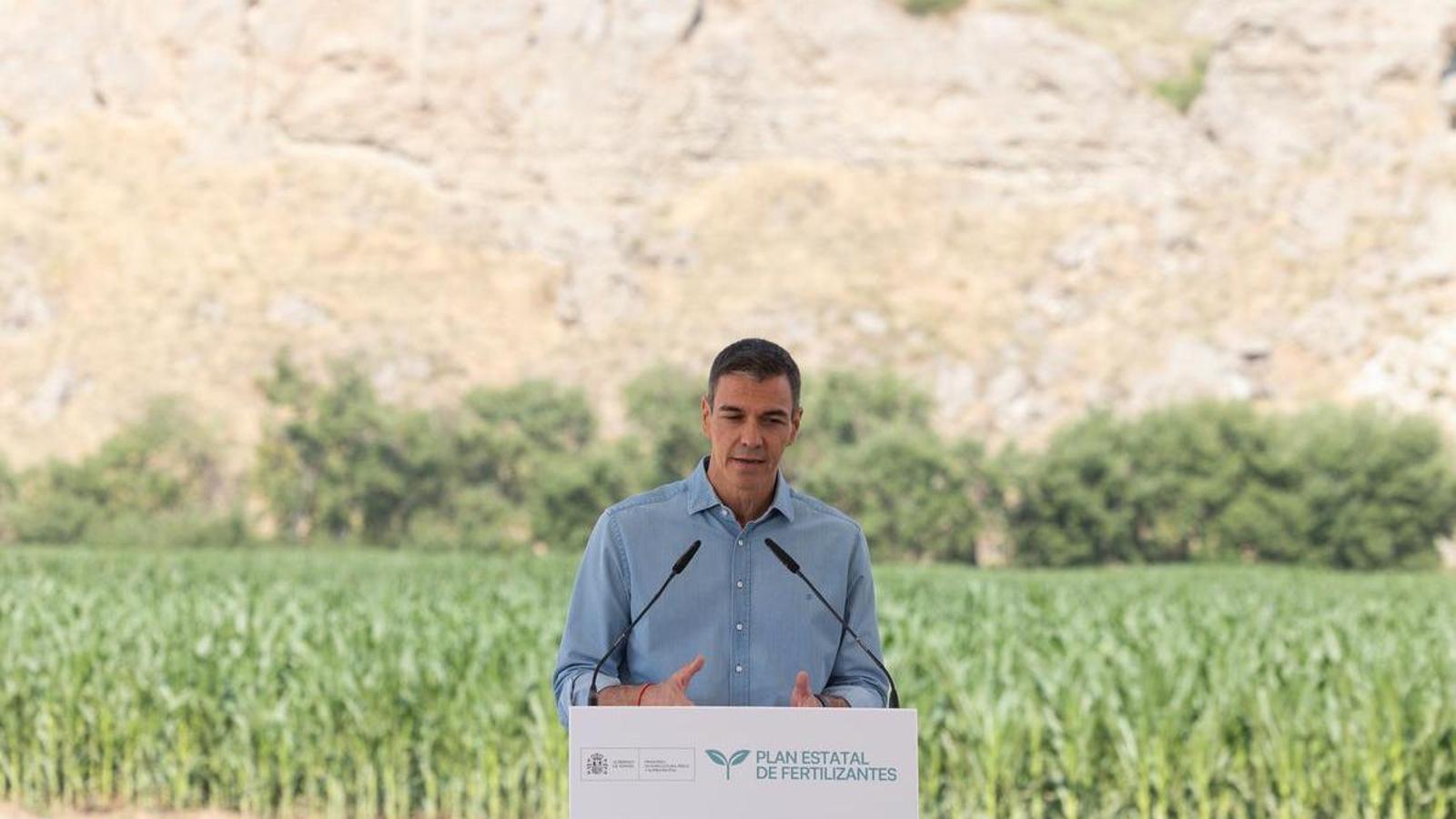 İspanya Başbakanı Sánchez, Kadınlar Dünya Kupası Finali'nde Milli Takıma Destek Verecek