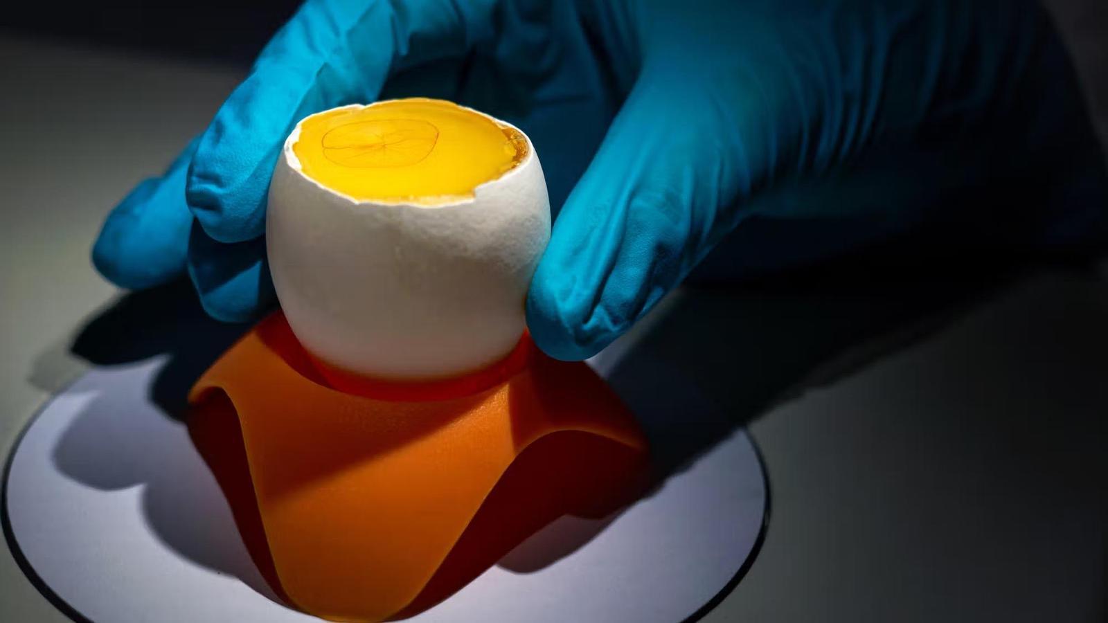 Tavuk Yumurtaları İlaç Fabrikasına Dönüşüyor: Biyoteknolojide Yeni Dönem