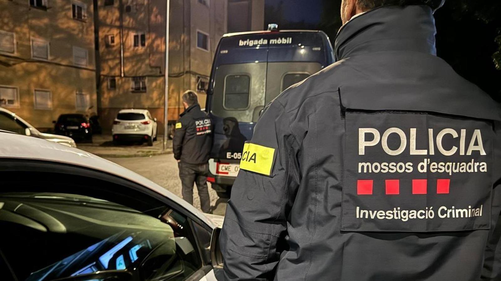 Girona'da Büyük Marihuana Operasyonu: 600 Polisle Kapsamlı Baskınlar