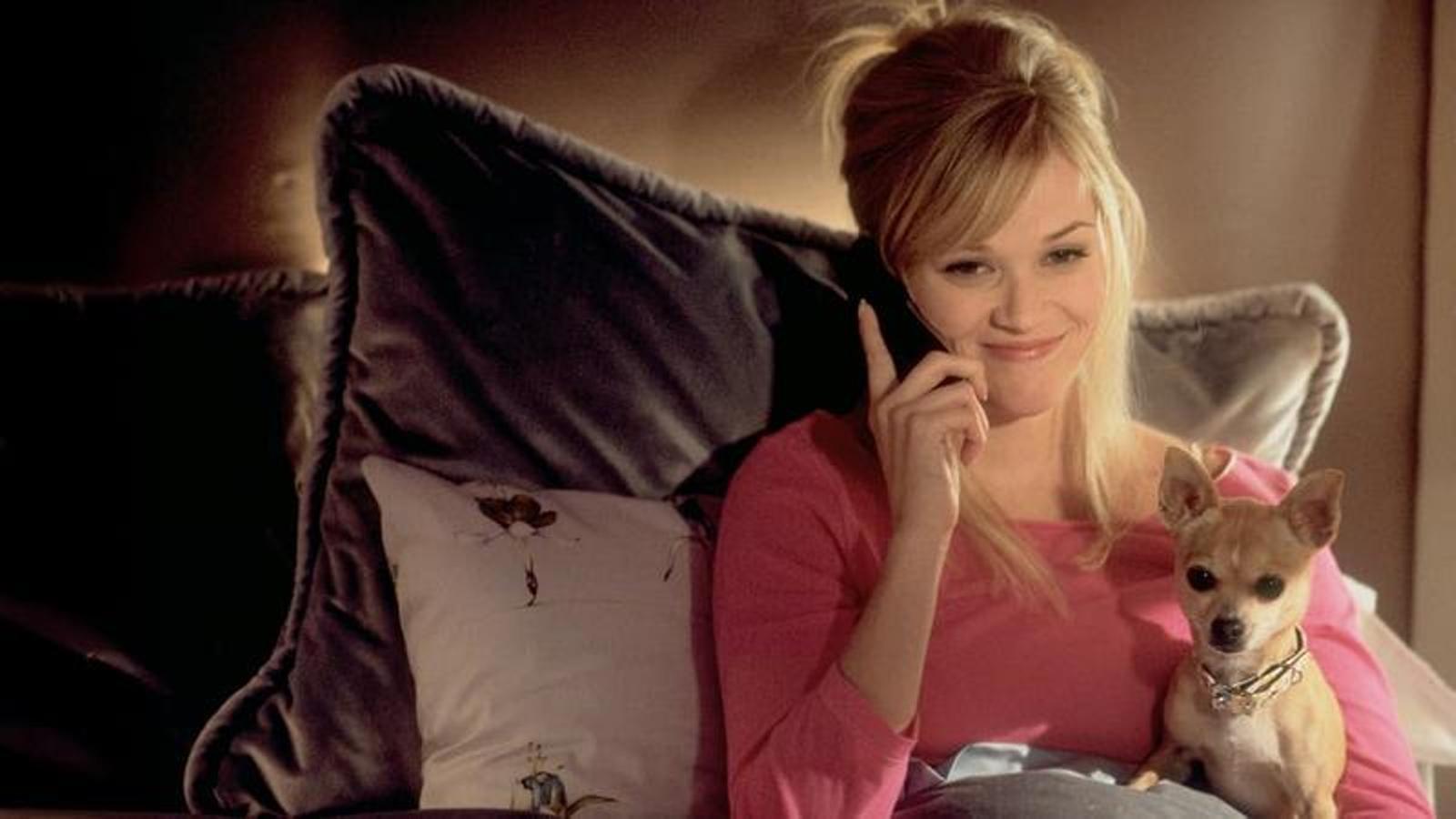 Hukukun Pembe Dünyası: 'Legally Blonde', 2000'lerin Feminist Bir Vahası