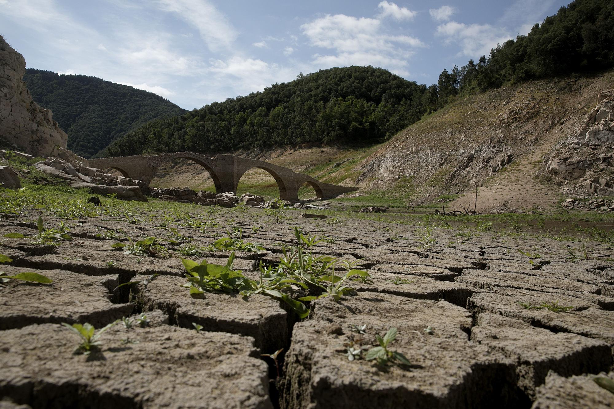 El Niño'nun Gölgesinde Rekor Sıcaklıklar: Küresel Isınma Doğal Döngüleri Nasıl