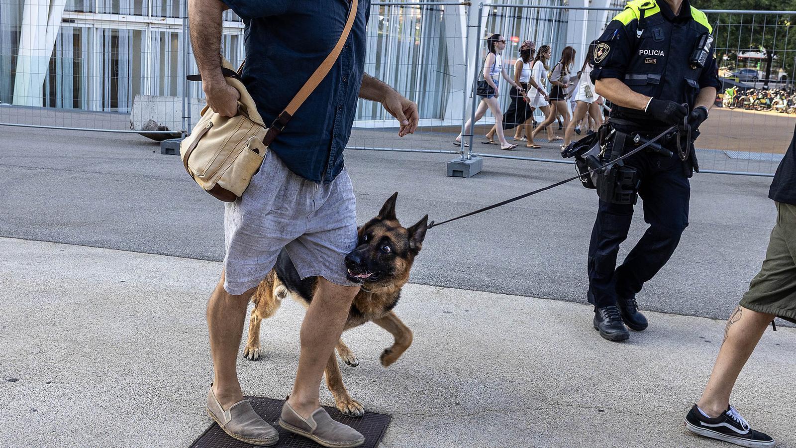 Barselona Festivalinde Narkotik Köpek Firu'dan Şaşırtıcı Yakalama: "Köpek Yalan Söylemez"
