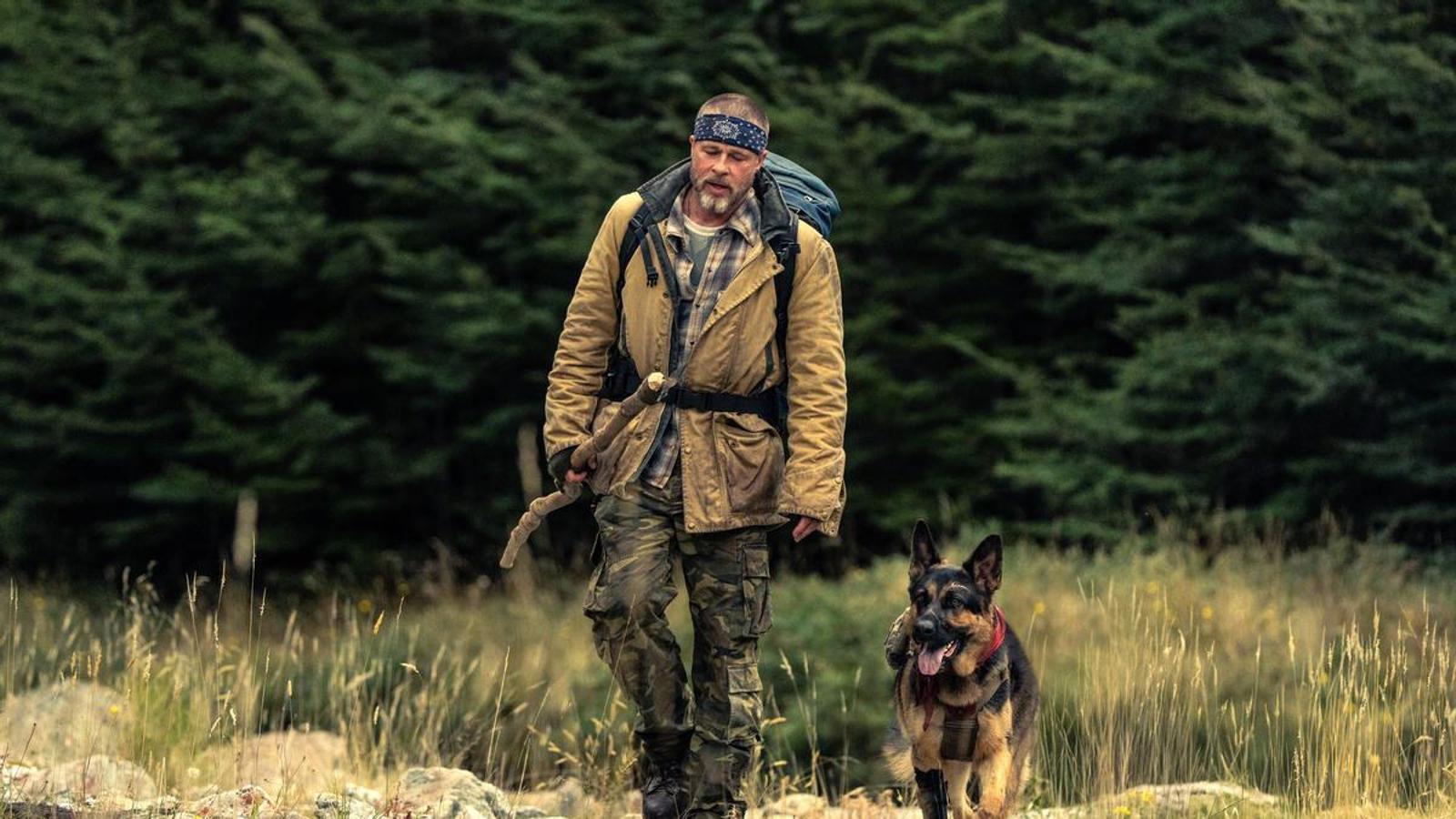 Brad Pitt'i Gölgede Bırakan Dört Ayaklı Yıldız: Sinema Dünyasında Köpeklerin Yükselişi