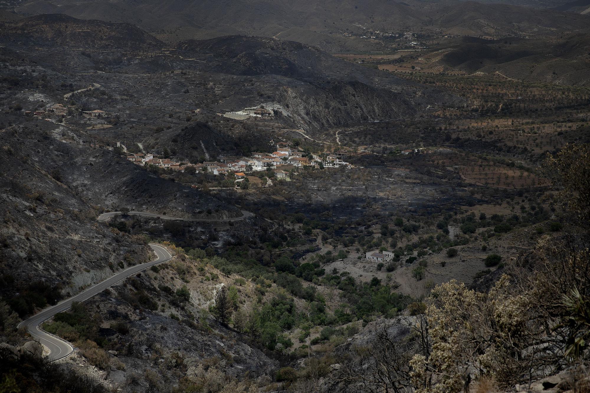 Almería Yangını: Kayıpların Ölümle Sonuçlanan Trajik Geri Sayımı