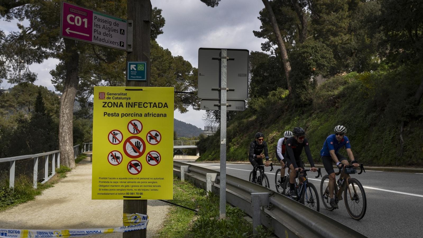 Tour de France Rotası Afrika Domuz Vebası Nedeniyle Değişti: Collserola Parkı