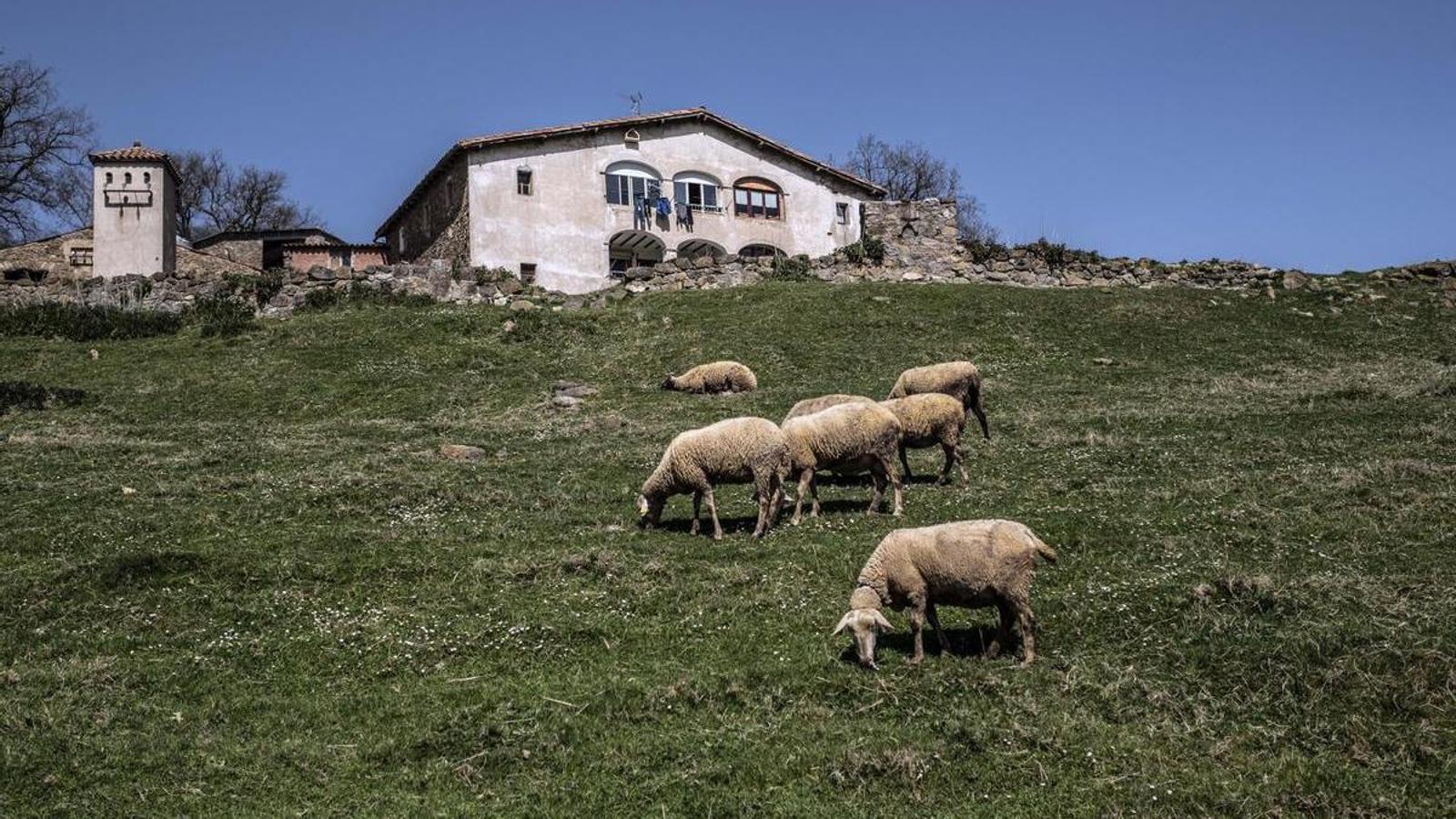 Ödenen Tatiller Lüks mü Oluyor? Barselona'da Turizm Paradoksu