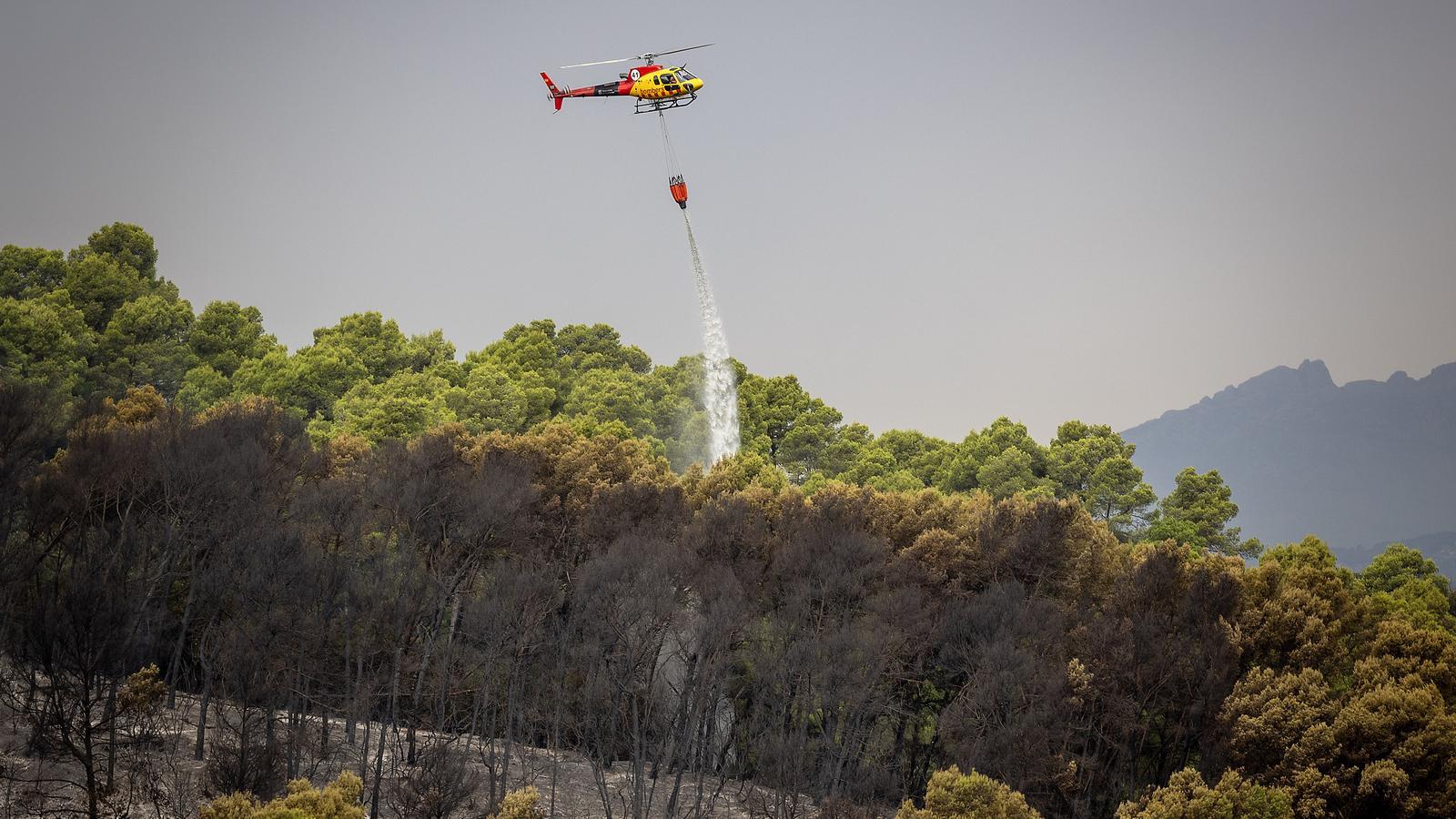 Barselona'daki Collserola Yangını: Kundaklama Şüphesiyle Bir Kişi Gözaltında