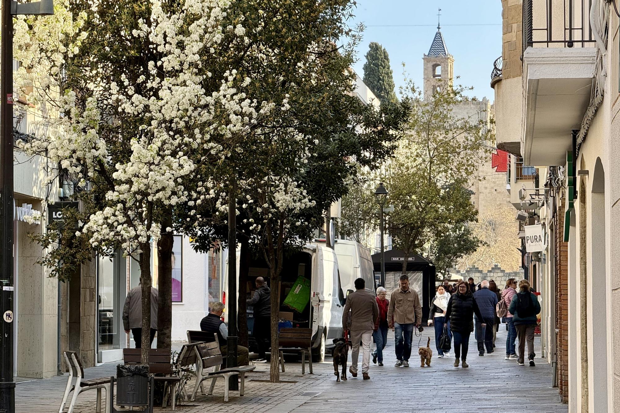 Sant Cugat del Vallès'ten Padrón Kayıtlarına Sıkı Denetim: Amaç Dolandırıcılığı Önlemek