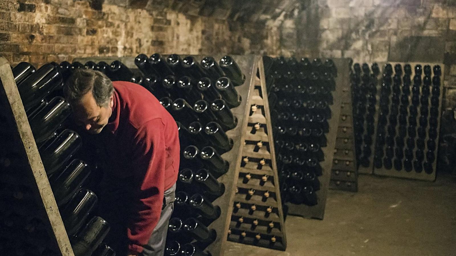 İspanyol Şampanyası Cava'nın Geleceği Belirleniyor: Yeni Başkan Seçimi Yaklaşıyor