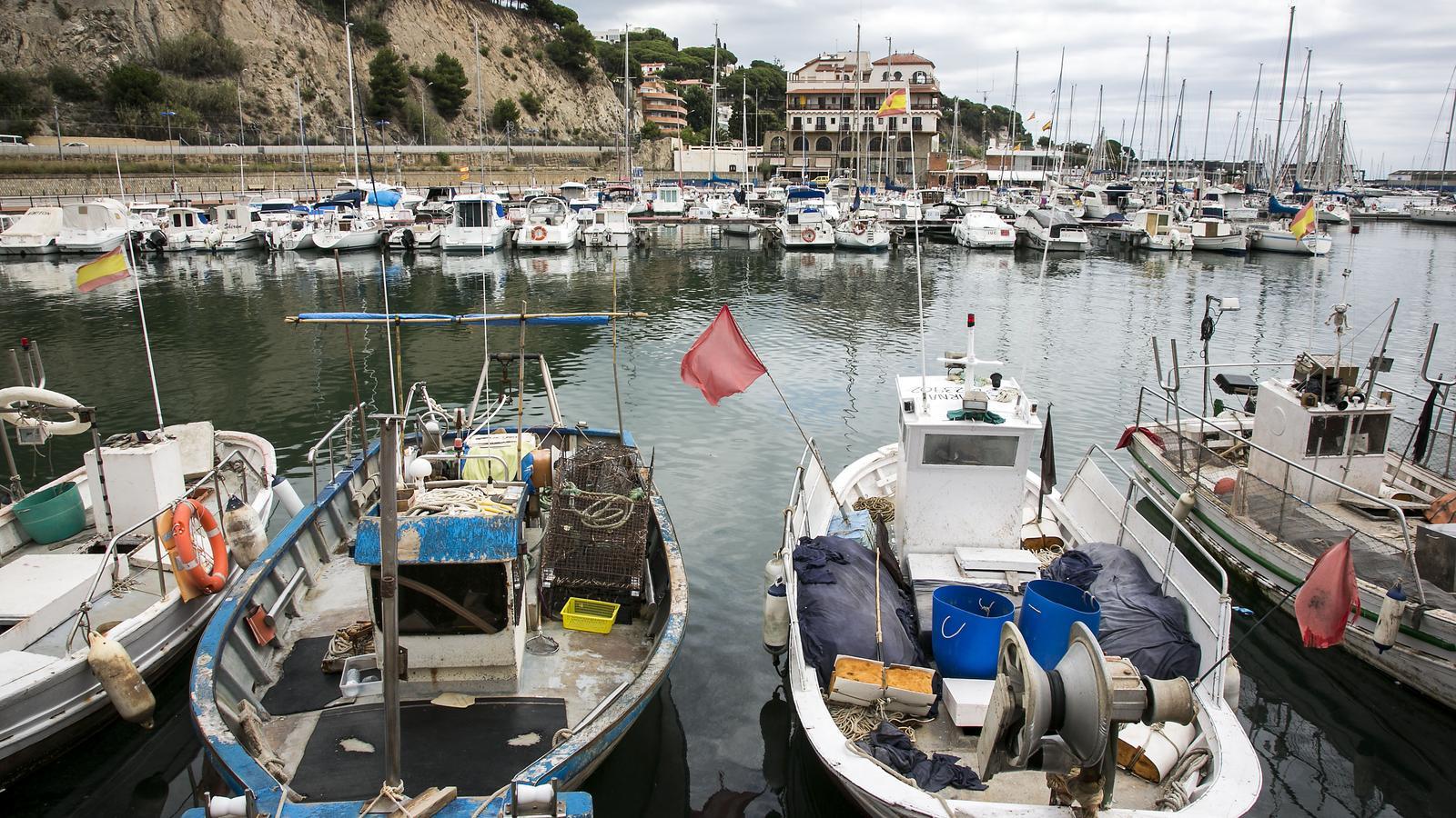 Arenys de Mar'da Gaz Borusu Patlaması: Kamp Alanı ve Bina Tahliye Edildi, Tren