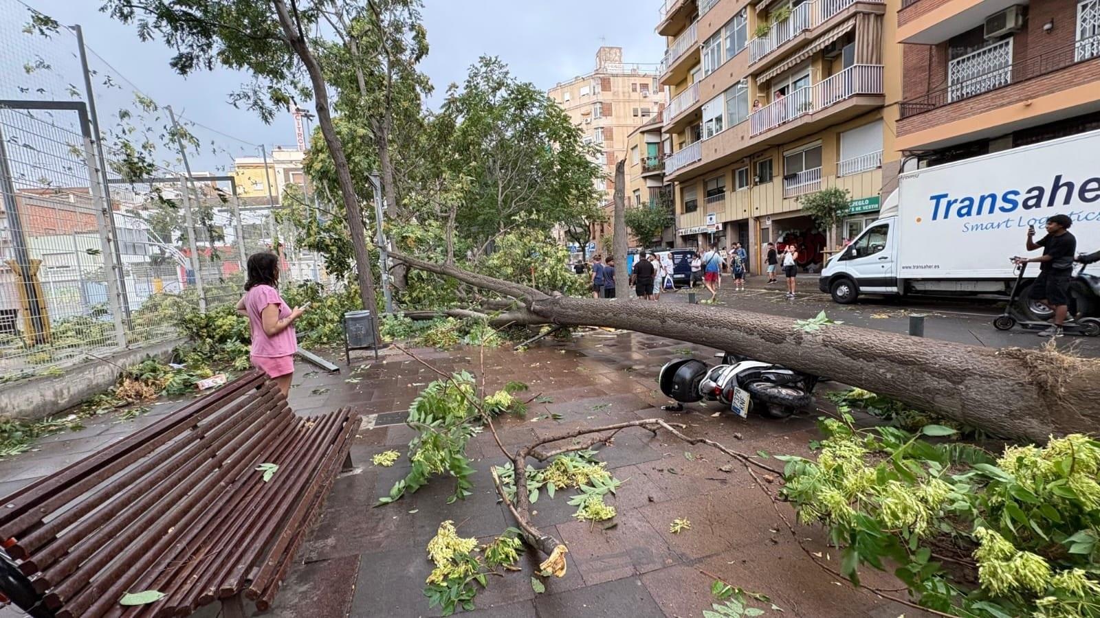 Barselona'da Nadir Görülen 'Esclafit' Fırtınası: Hospitalet'te Büyük Yıkım