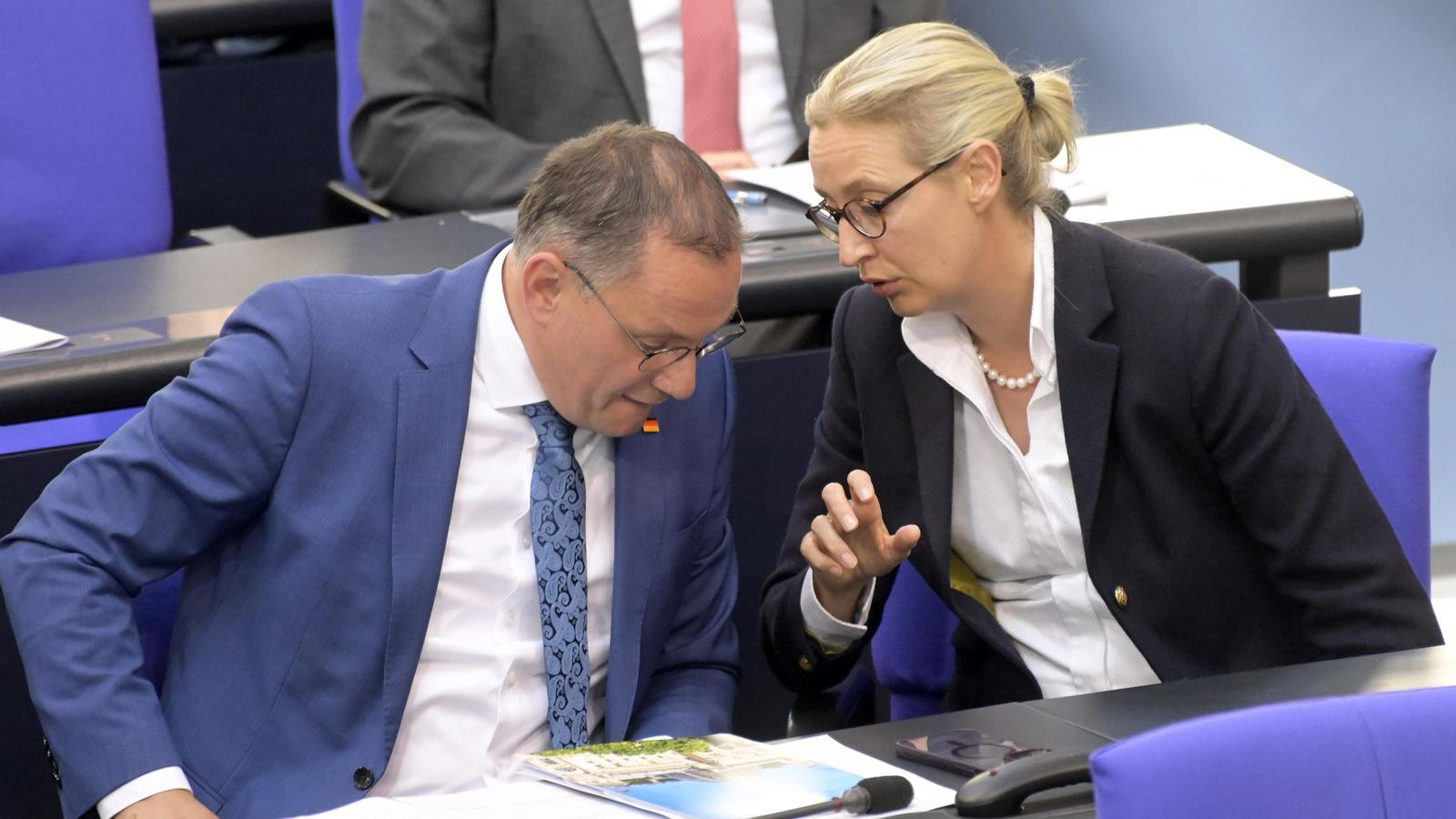 İran Savaşı Almanya Aşırı Sağını Bölüyor: AfD'nin Trump İkilemi