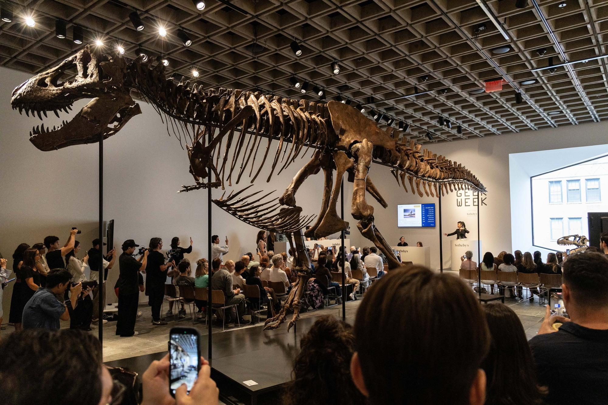 T-Rex İskeleti Rekor Fiyata Satıldı: Bilim Dünyasında Tartışma Yarattı