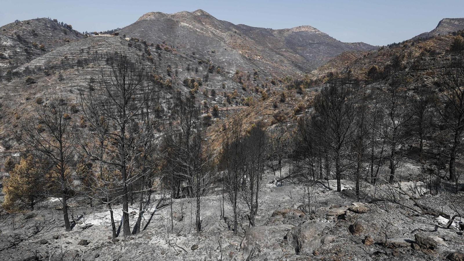 Valensiya'daki Büyük Yangın Kontrol Altında: La Vall d'Uixó'da 9.568 Hektar Kül Oldu
