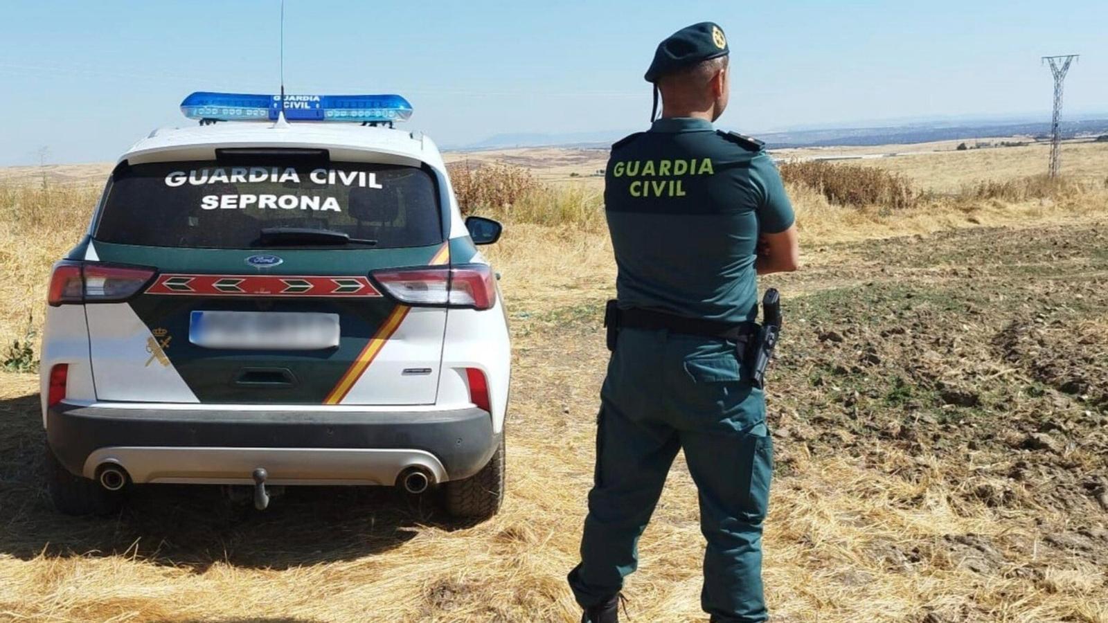Gàtova'da Boğa Kaçışları ve Hayvan İstismarı: İki Kişi Soruşturuluyor