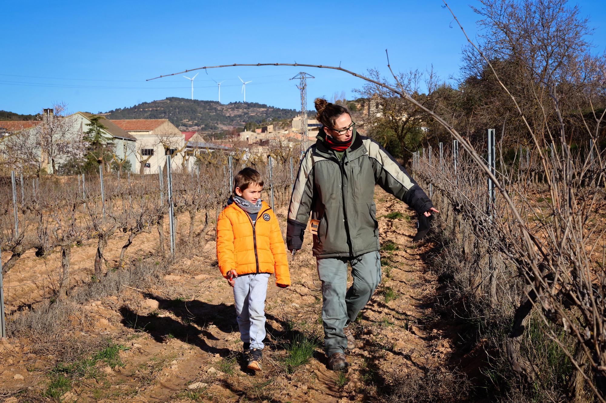 Katalonya'da Tarımın Geleceği Tehlikede: Gençler Tarladan Uzaklaşıyor