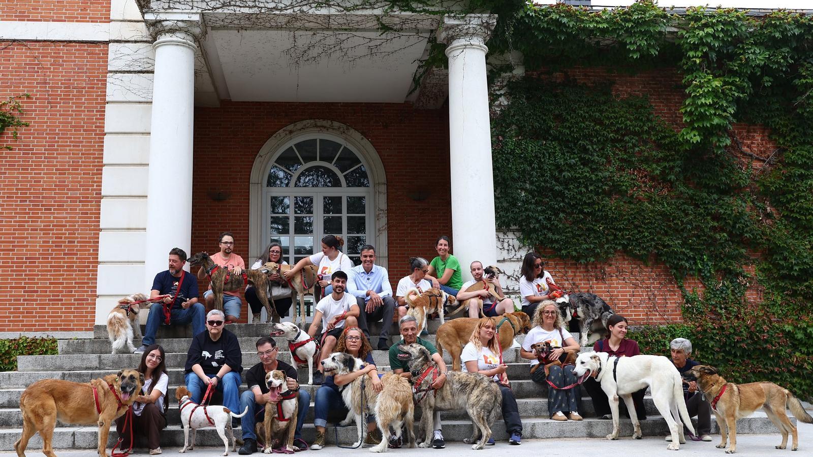 Siyasi Fırtınanın Ortasında Moncloa'da 'Köpek Günü': Sánchez'den Sembolik Adım
